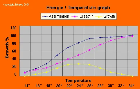 Temperatura / energia crescente