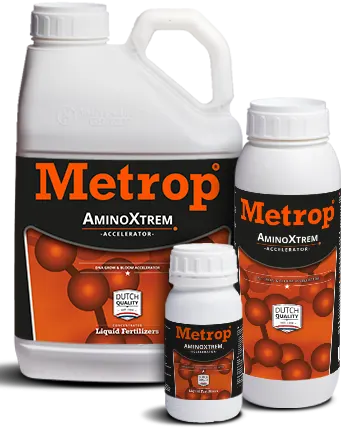 Estimulador de floração Metrop AminoXtrem